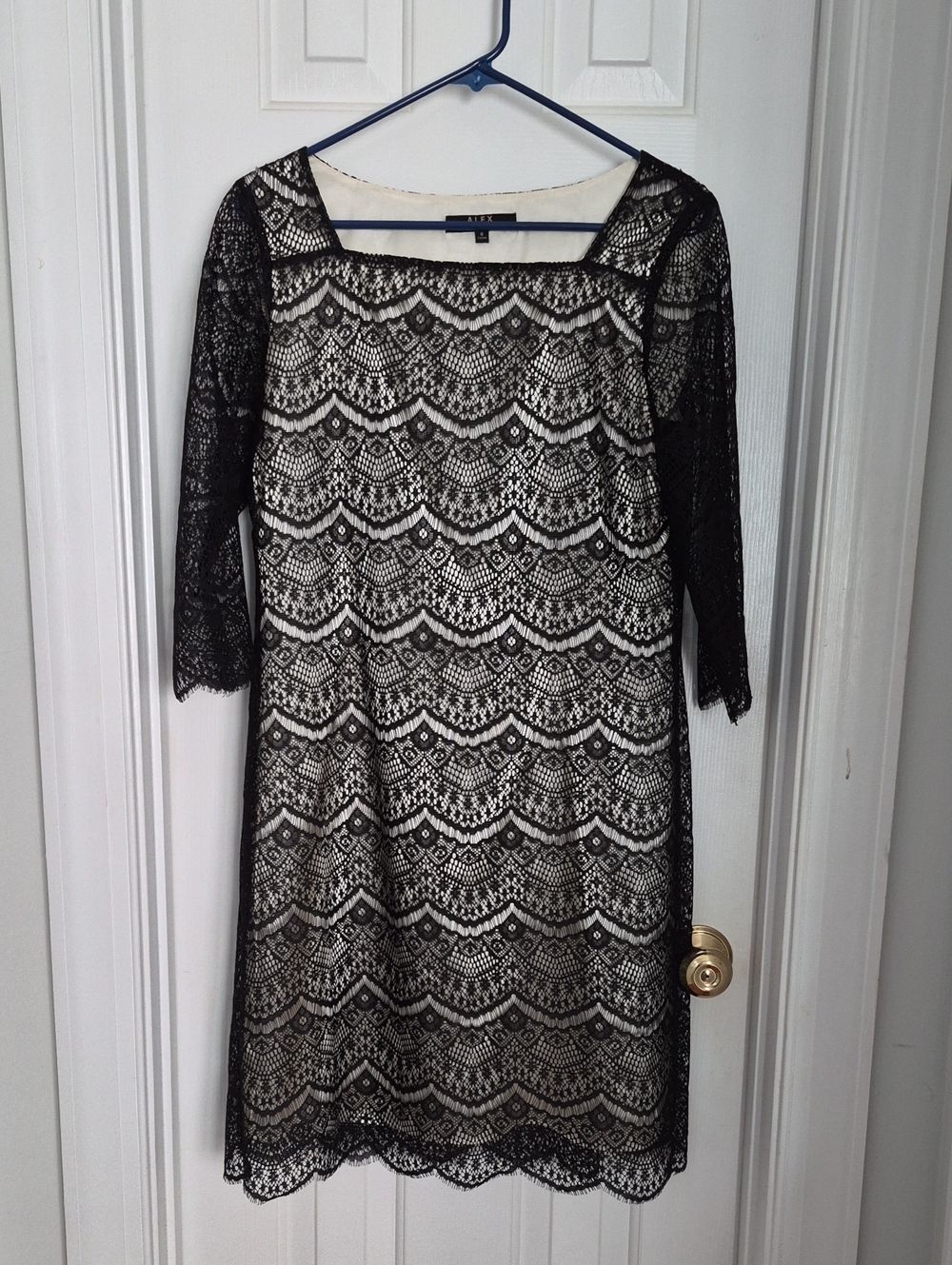 Alex Marie Black Lace Long-Sleeve Overlay Dress with Ivory Lining